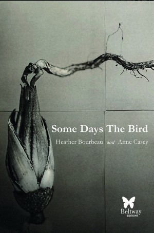 Some Days The Bird